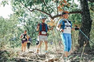 BIB: 
                            <button type="button" onclick="openModal(26096698)" class="btn btn-primary btn-sm float-right btn-popup" data-toggle="modal" data-target=".modal-high-quality">
                        <i class="fas fa-shopping-cart"></i> Add to Cart
                    </button>
                                            <button type="button" onclick="isThisMe(26096698, true)" class="btn btn-success btn-sm float-right btn-popup btn-isme hidden" data-toggle="tooltip" data-placement="bottom" title="นี่คือรูปของคุณใช่ไหม คลิกที่นี่เพื่อเอาเข้าอัลบั้ม">
                        <i class="fas fa-plus"></i> Add to album
                    </button>
                    <button type="button" onclick="isThisMe(26096698, false)" class="btn btn-warning btn-sm float-right btn-popup btn-isnotme hidden">
                        <i class="fas fa-ban"></i> Remove from album
                    </button>